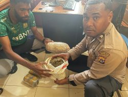 Personel Pos Patmor VI Amankan 4 Pelaku Pengguna Ganja Beserta Barang Bukti