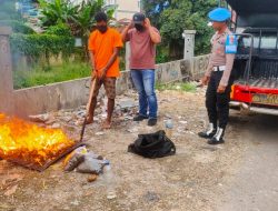 Kasat Narkoba : Penyidik Bersama Dua Tersangkanya Musnahkan 3 Kg Ganja Hari Ini