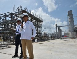 Menteri ESDM Minta Progres Proyek Smelter PT FI Capai 4% Per Bulan