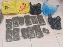 Bawa Ganja di Pelabuhan, Seorang Calon Penumpang Diamankan Polisi