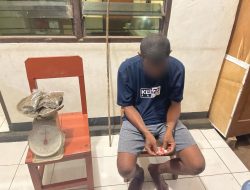 Bawa Ganja di Pasar Perbatasan, Seorang Pemuda Dibekuk Petugas Perbatasan