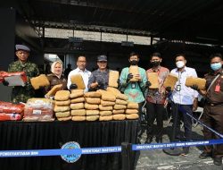 BNN RI Musnahkan Ganja dan Sabu, Selamatkan Lebih dari 46.000 Jiwa