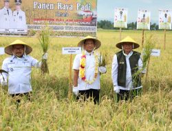Panen Raya Padi di Banggai, Mendagri: Ini Bukti Kita Memiliki Kemampuan untuk Produksi