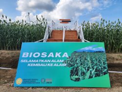 Pembuatan dan Aplikasi Biosaka live from PENAS Sumbar