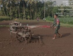 Selalu Hadir di Tengah Masyarakat, Babinsa Koramil Ponggok Bantu Kelompok Tani Olah Lahan Pertanian