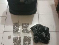 Lagi, Polsek KPL Amankan Seorang Pria yang Kedapatan Membawa Ganja Saat Hendak Berangkat