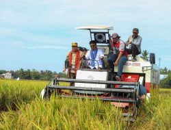Pastikan Beras Aman, Mentan SYL Panen Padi dan Demonstrasikan Biosaka di Maros