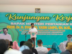 Antisipasi Krisis Pangan, Mentan SYL Dorong Pengembangan Budidaya Sorgum di Pangkep