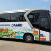 Momen Hari Anak Nasional 2023, DAMRI Buatkan Bus Khusus dengan Livery Goresan Kreativitas Anak-anak