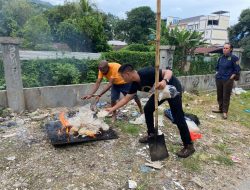 Lagi, Penyidik Musnahkan 8 Kg Ganja