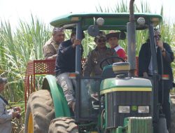 Kementan Terapkan Program Taxi Alsintan Perkebunan Untuk Akselerasi Swasembada Gula