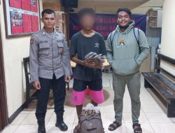 Polisi Gagalkan Penyelundupan Ganja Di Pelabuhan Laut Jayapura
