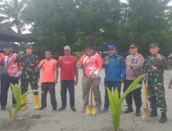 3000 Bibit Pohon Kelapa Ditanam Hari Ini