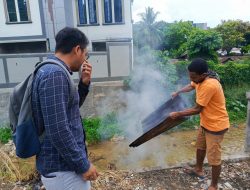 Polisi Musnahkan Barang Bukti Ganja Milik Tersangka Disaksikan Jaksa