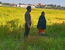 Cegah Terjadi Kebakaran dan Perkuat Ketahanan Pangan, ini Himbauan Kapolsek Somba Opu