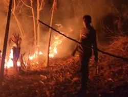 Aksi Heroik Kapolsek Bontonompo Gowa Padamkan Api di Lingkungan Balaburu