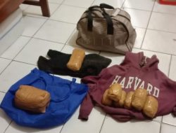 Polsek Pelabuhan Jayapura Gagalkan Penyelundupan 1,2 Kg Ganja