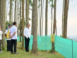 Pagi Hari di IKN, Presiden Tunjukkan Para Menteri Pemandangan IKN dari Atas Bukit