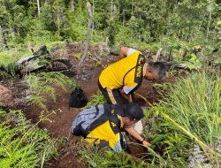 Polsek Japut Melaksanakan Penanaman Pohon di Kawasan Cagar Alam Pegunungan Cycloop