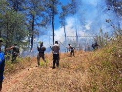 Polres Gowa dan Tim Gabungan Berhasil Padamkan Karhutla di Hutan Pinus Malino