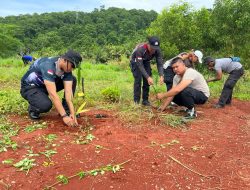 Polresta Jayapura Kota dan Jajaran Intens Lakukan Penanaman Pohon