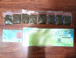 Lakukan Persetubuhan Terhadap Anak Dibawah Umur, KR Ternyata Miliki Ganja