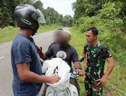 Lagi, Aparat Gabungan di Batas Negara Bekuk 2 Pelaku Karena Ganja