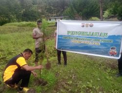 Aksi Nyata Polres Lanny Jaya, Lakukan Penanaman 250 Pohon untuk Kelestarian Lingkungan
