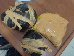 Seorang Pemuda Harus Diamankan Setelah Bawa Naik Ganja Ke Kapal