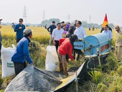 Panen Raya di Subang, Presiden: Diharapkan Tambah Cadangan Beras Kita