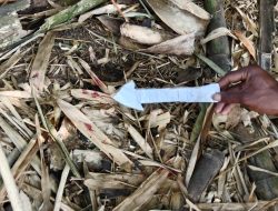 Polisi Selidiki Penemuan Bayi di Pelabuhan Kampung Gimikia, Kabupaten Mappi