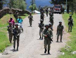 Langkah Aparat Keamanan Tindak Tegas KKB Diapresiasi