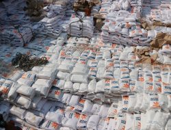 Dirut BULOG dan Badan Karantina Jamin Semua Beras Impor Aman