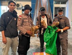 Polsek KPL Amankan Ganja dan Burung Cenderawasih Di Pelabuhan Laut Jayapura