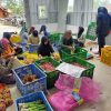 Wujudkan UMKM Hortikultura Naik Kelas, Kementan Buat Aplikasi PROHORTI