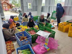 Wujudkan UMKM Hortikultura Naik Kelas, Kementan Buat Aplikasi PROHORTI