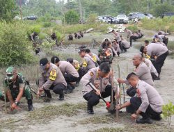 Polda Sulteng Tanam 1000 Bibit Mangrove di Pantai Popa