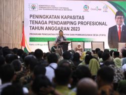 Desa Mandiri Punya Kewenangan Lebih Luas Kelola Program Pemerintah Level Desa