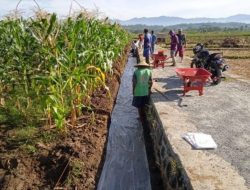 Program Padat Karya Tunai Sumber Daya Air Serap Lebih dari 250 Ribu Pekerja Hingga Oktober 2023