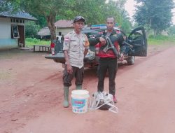 Jelang Hari Raya Natal Dan Tahun Baru, Polsek Nambai Laksanakan Operasi Miras