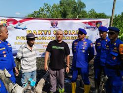 Pelestarian Lingkungan Jadi Fokus, Dit Polairud Polda Papua Tanam 350 Mangrove di Pesisir Kampung Nafri