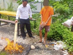 Penyidik Sat Narkoba Polresta Musnahkan Barang Bukti Ganja Disaksikan Dengan Jaksa