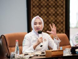 Pertemuan Steering Committee IDRIP, Evaluasi Capaian Tahunan