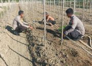 Cooling System Pemilu Damai 2024, Sat Binmas Polres Keerom Sambangi Warga Kampung Jaifuri