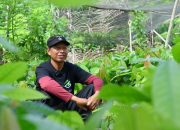 Kembangkan Kakao Berkualitas Dunia, Program PPM Tambang Dongkrak Kesejahteraan Petani Berau