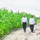 Mentan Amran Bantah Food Estate Gunakan Pot