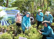 Kunker ke Sulsel, Sekum TP PPK Canangkan Gerakan Tanam Cabai