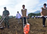 Kolaborasi Kementan-TNI Percepat Swasembada, Mentan Amran Panen dan Tanam Jagung di Aceh