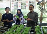 Sinergi dalam Reforma Agraria, Upaya Kementerian ATR/BPN Wujudkan Tujuan untuk Menyejahterakan Rakyat