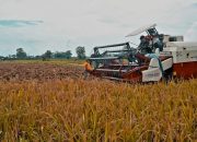 Densus 88 Mabes Polri Lakukan Deradikalisasi Melalui Komitmen Dukung Sektor Pertanian Indonesia